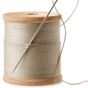 Meet your Posher, Shaylyn